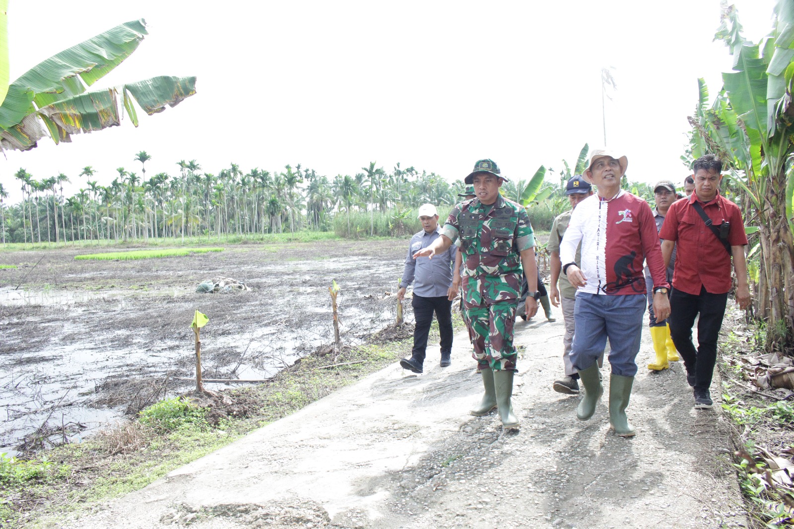 Pj Bupati Tinjau Lokasi Penananam Padi Serentak 3.000 Ha di Kuala Sebatu