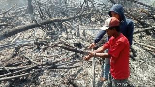 Bakar Lahan untuk Kebun Sawit, Warga Rohil Diamankan Polisi