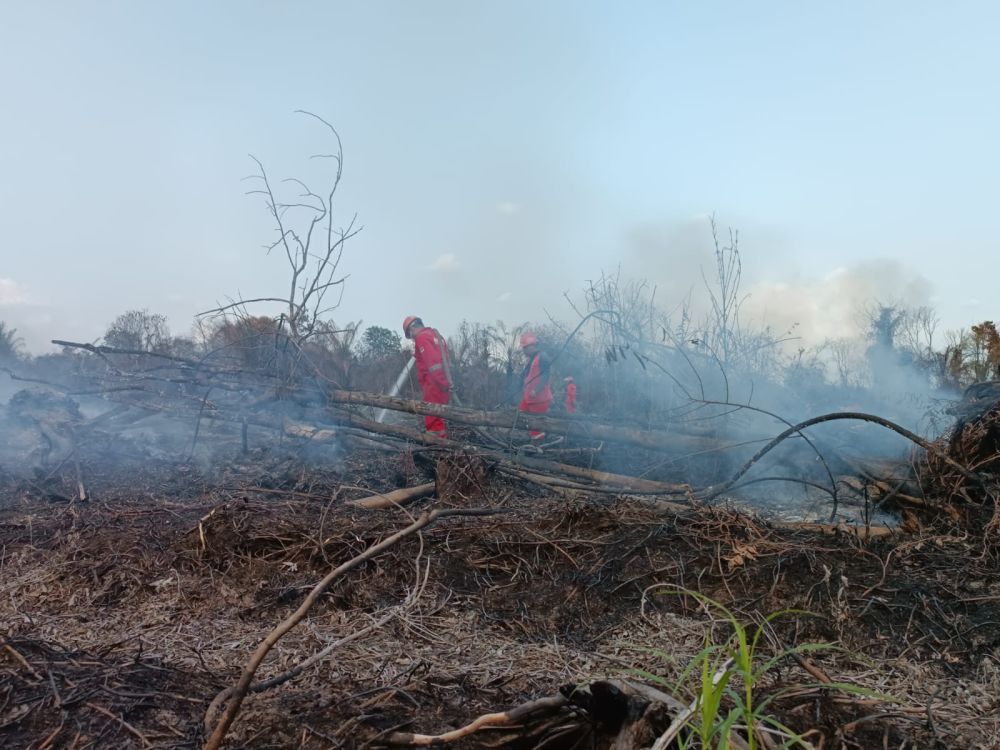 Tiga Daerah di Riau Ini Tetapkan Siaga Darurat Karhutla