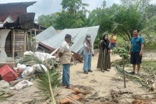Gajah Codet Rusak Rumah dan Kebun Warga di Kulim Batsol Bengkalis
