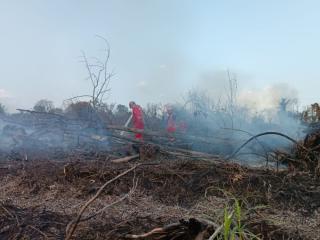 Tiga Daerah di Riau Ini Tetapkan Siaga Darurat Karhutla