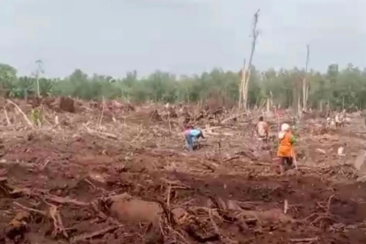 Protes Lahan Tetap Ditanami Akasia, Warga Olak Hadang Perusahaan