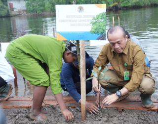 Gelar Penanaman Serentak, Sekjen KLHK Tanam Mangrove di Riau