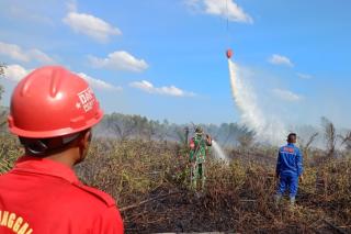 Besok Heli Patroli Bantuan BNPB untuk Penanganan Karhutla Tiba di Pekanbaru