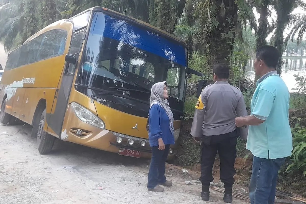 Bus Wisata Ditumpangi Guru Pekanbaru Terperosok di Henferd Land Kampar