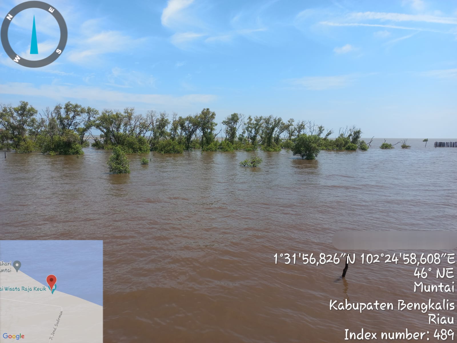 Ini Dia Potret Penanaman Mangrove Senilai Rp462 Miliar di Kabupaten Bengkalis