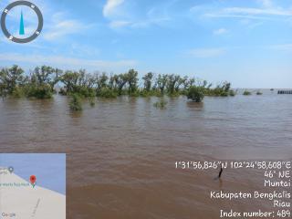 Ini Dia Potret Penanaman Mangrove Senilai Rp462 Miliar di Kabupaten Bengkalis
