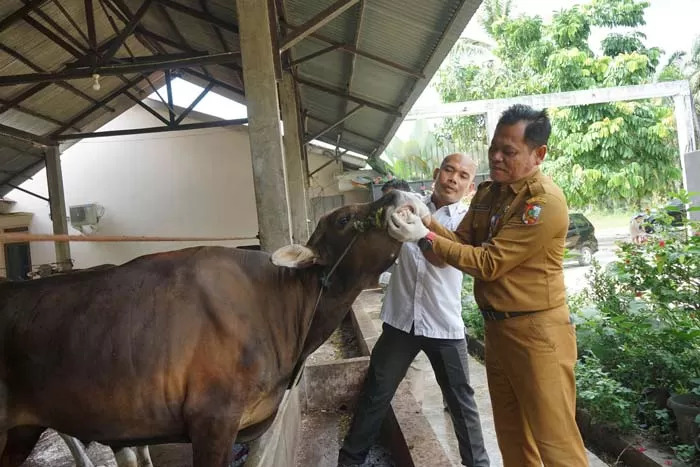 Antisipasi PMK dan LSD, Distankan Periksa Lima Ribu Hewan Kurban di Pekanbaru