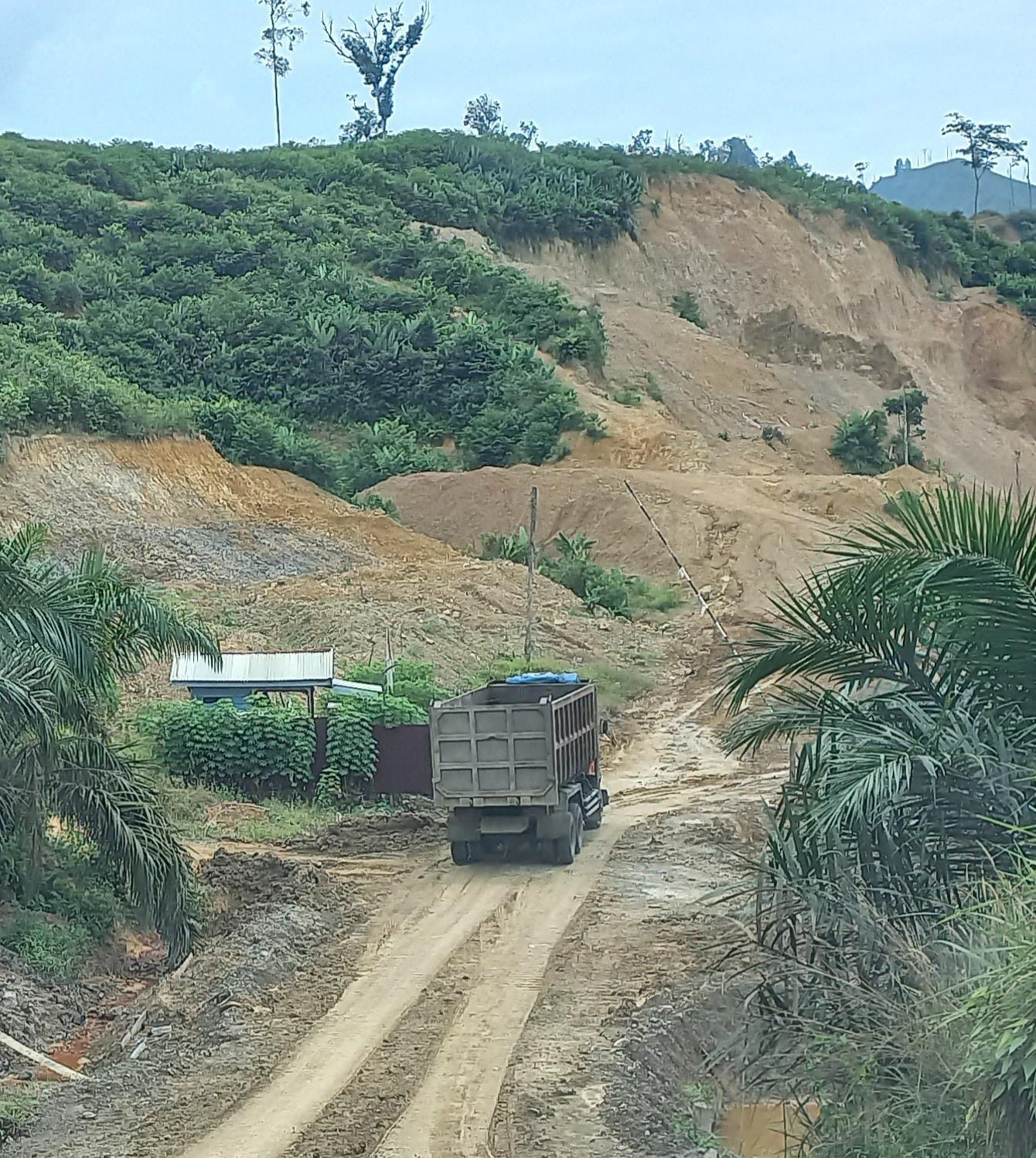 Hasilkan 60.000 Ton Pertahun Batubara, Tambang Ilegal di Kawasan TNBT Indragiri Hilir Kebal Hukum