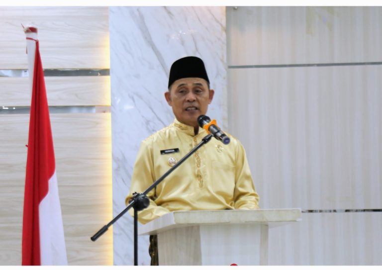 Pj Bupati Inhil H. Herman Buka Rakor Fasilitator DMIJ Plus Terintegrasi Tahun 2024