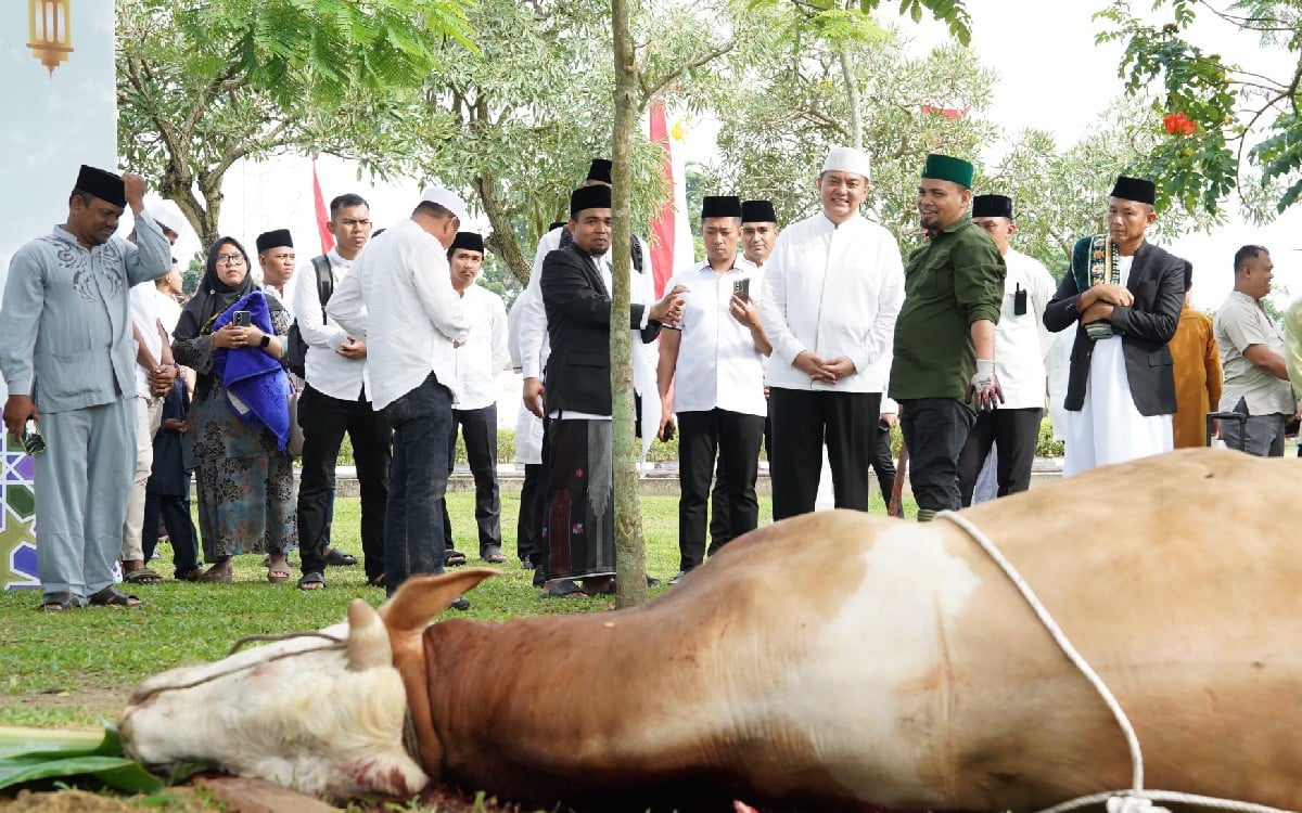 IdulAdha 2024, Polda Riau Salurkan 52 Hewan KurbanÂ