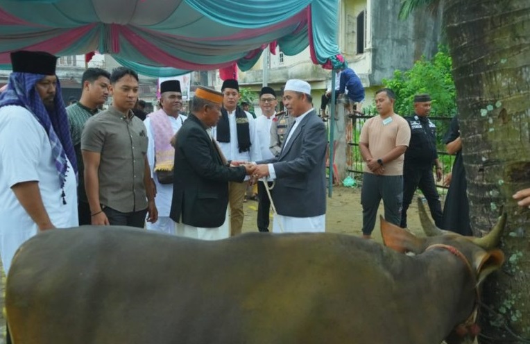 Pj Bupati Inhil Herman Sumbang Satu Ekor Sapi Untuk Masjid Jamik Pulau Kijang-Reteh