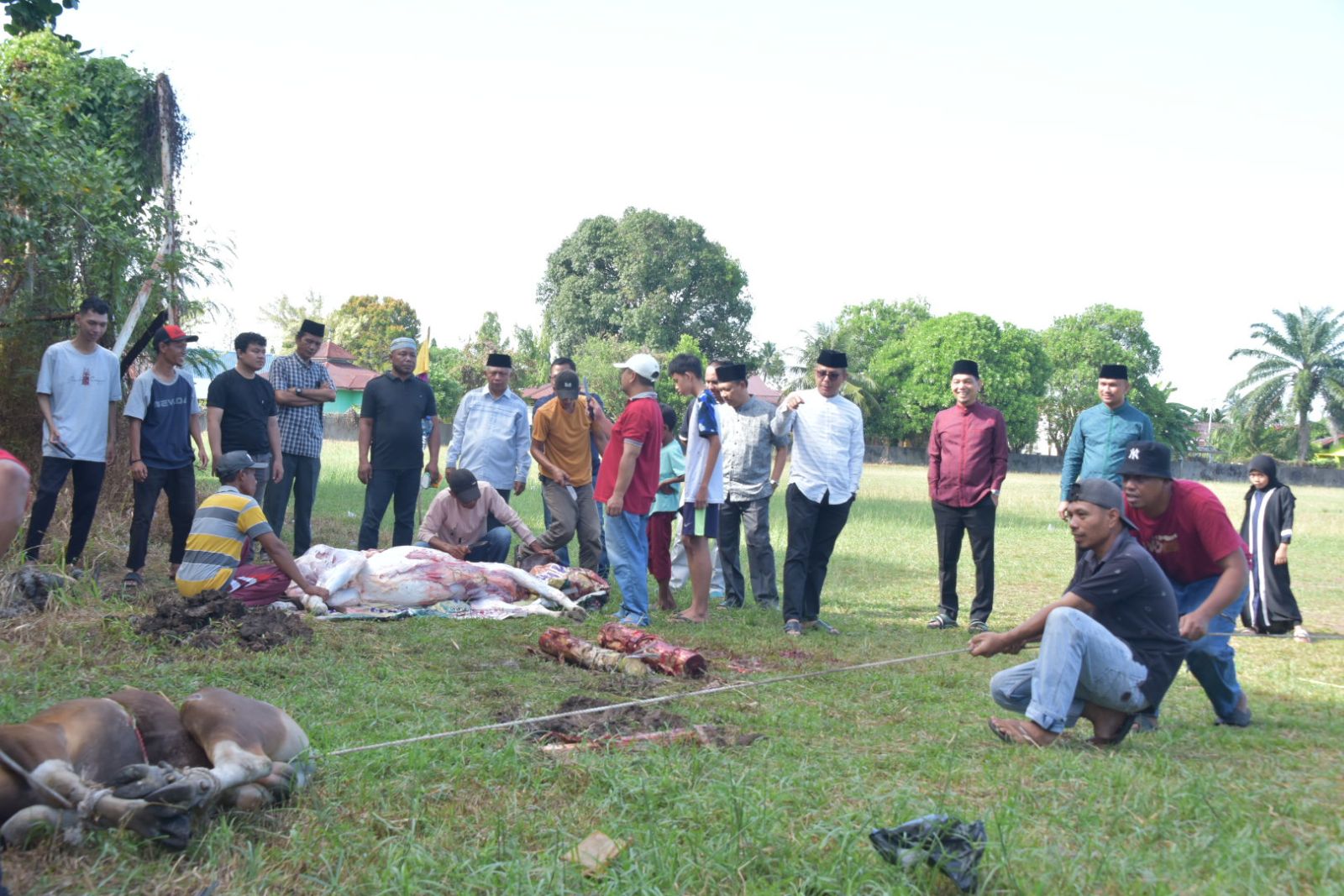 Inspektorat Kabupaten Bengkalis Laksanakan Ibadah Qurban 4 Ekor Sapi Tahun 1445 H