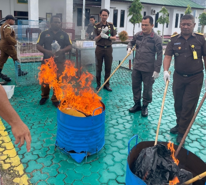 Kejari Kepulauan Aru Musnahkan Barang Bukti 42 Perkara Tindak Pidana