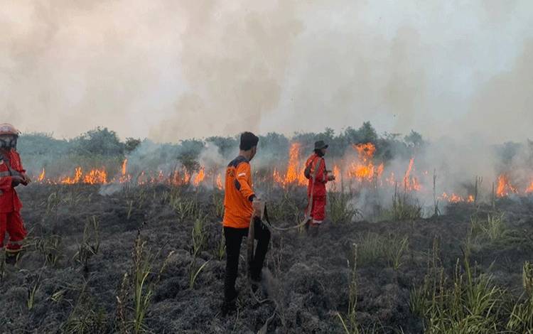 Karhutla di Sungai Apit Siak Berhasil Dipadamkan