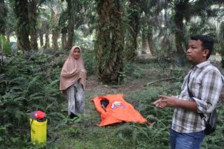 Pria di Kampar Ditemukan Tewas di Kebun Sawit, Diduga...