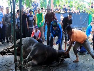 Pj Bupati Kampar Lakukan Pemotongan Hewan Kurban di Halaman Markas Islamic Center Bangkinang