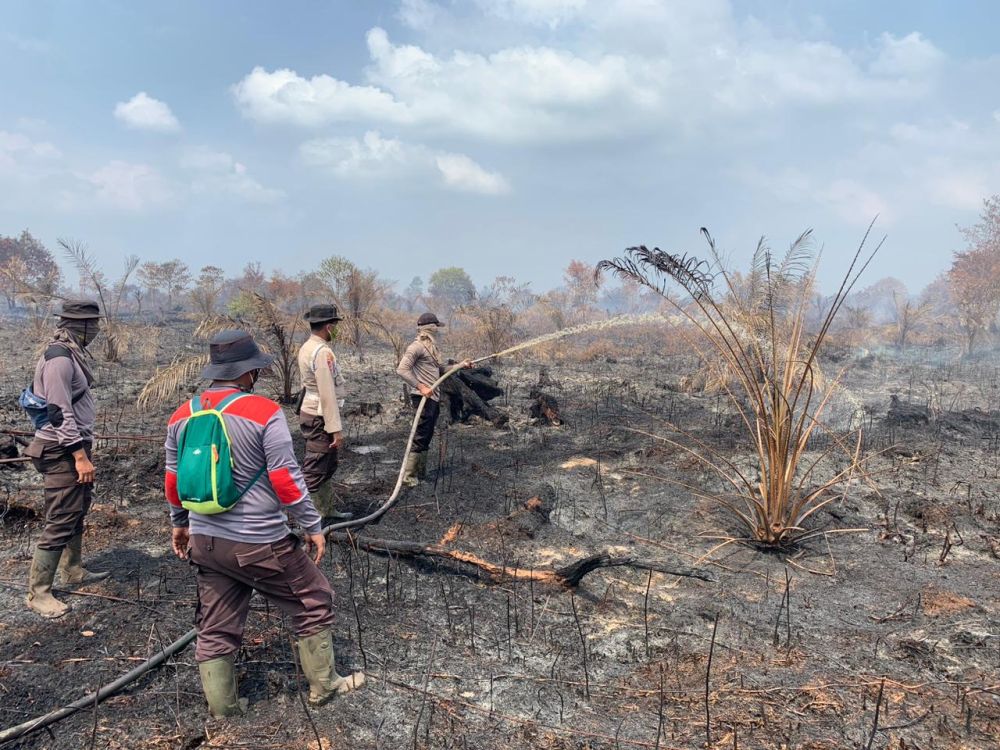 Petugas Gabungan Berjibaku Padamkan Karhutla di Rohil