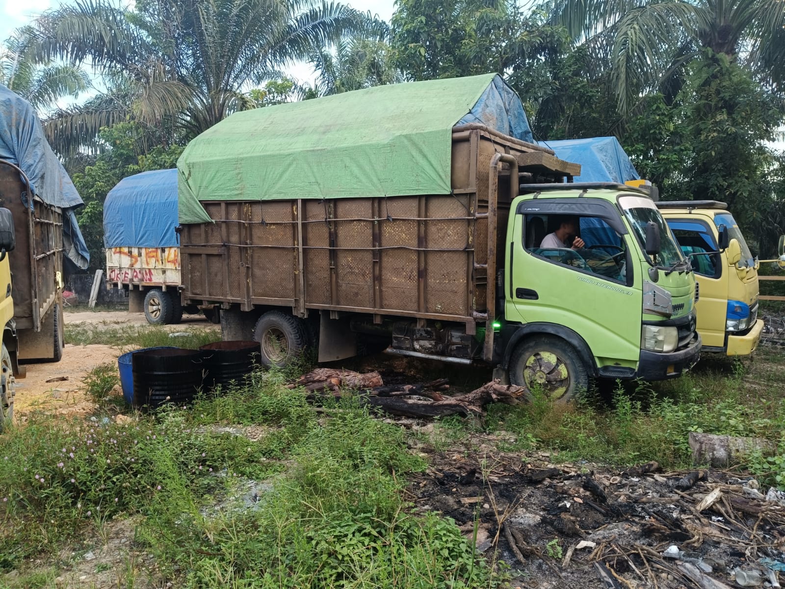 Pemilik Empat Truk Memuat Kayu Ilog di Kampar Kabur Saat akan Ditangkap