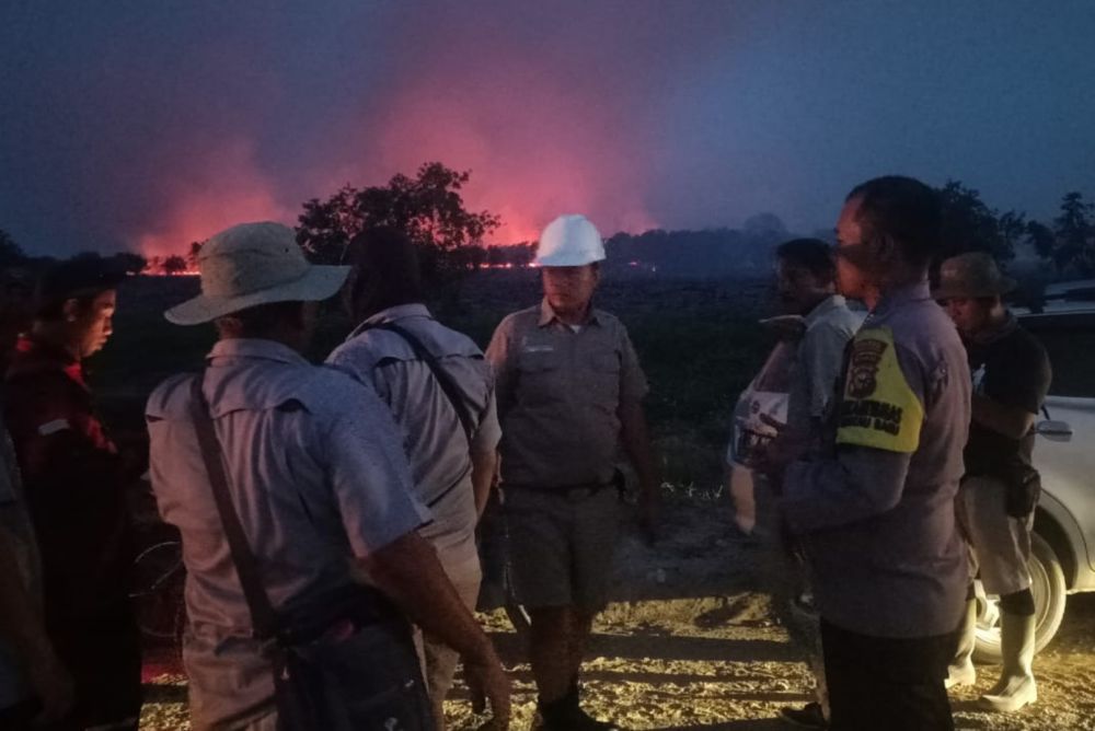 TNI-Polri Dibantu Warga Berhasil Memadamkan 5 Hektare Lahan Membara di Pelalawan