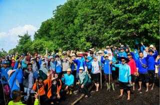 HUT ke-512, 500 Guru di Bengkalis dan Bantan Tanam Pohon Api-Api