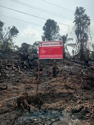 Petani Sayur di Pekanbaru Ditangkap Usai Bakar Lahan Milik PT Pertamina Hulu Rokan