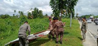 Satpol PP Tertibkan Spanduk Cakada, Jalan Protokol Jadi Sasaran