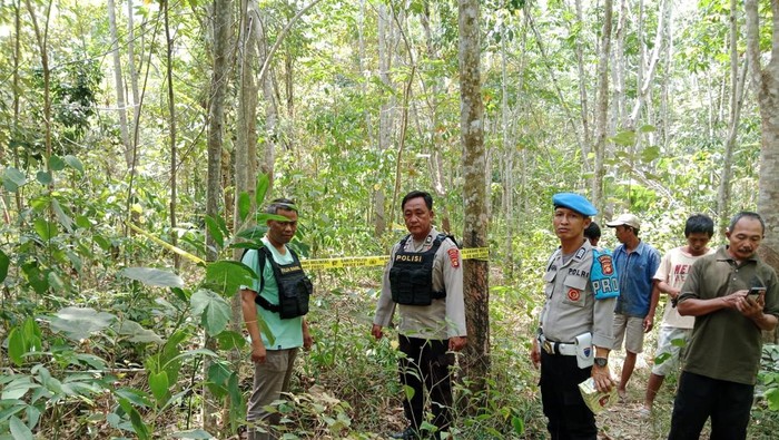 Tragis! Ibu Hamil 5 Bulan di Musi Rawas Tewas Diinjak Gerombolan Gajah Liar