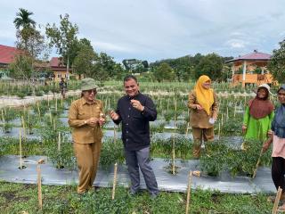 Pjs Wali Kota Tinjau Kawasan Pertanian Terpadu Kota Dumai