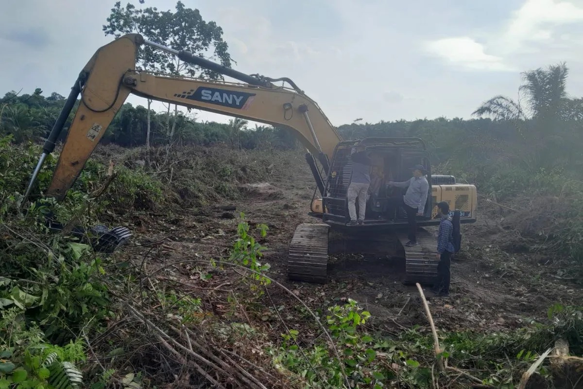Dua Perambah Hutan di Kampar Ditangkap Polda Riau
