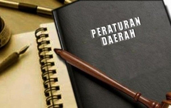 Riau Segera Miliki Perda Perlindungan Penyandang Disabilitas