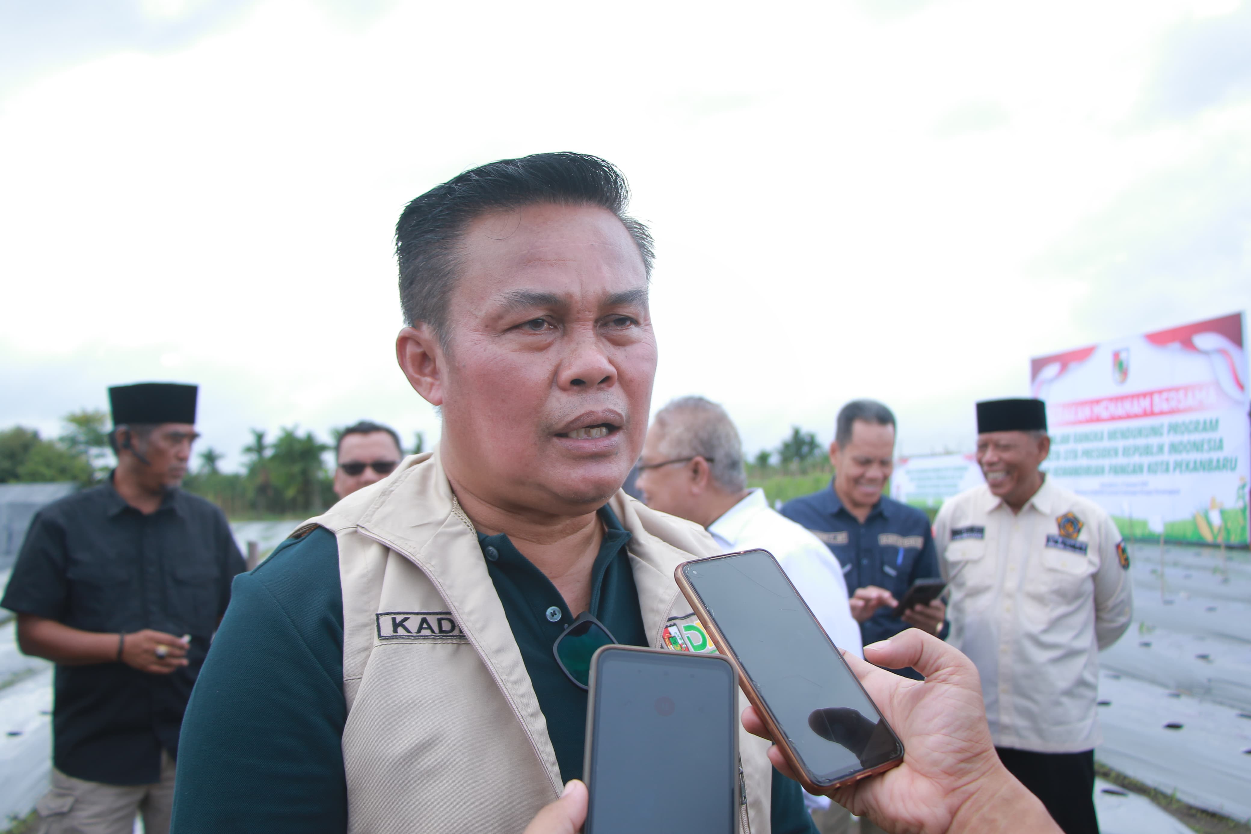Disketapang Masifkan Program Kemandirian Pangan pada 2025