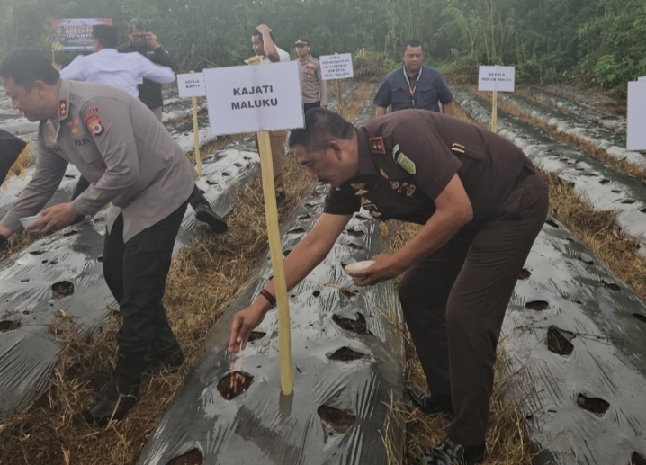 Kajati Maluku Hadiri Pelaksanaan Penanaman Jagung Serentak di Dusun Gulung Kabupaten Maluku Tengah