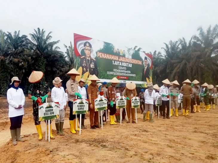 Pemkab Kampar Bersama Kapolda Riau Lakukan Program Penanaman jagung 1 Juta Hektar