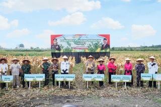 Polda Riau Panen Raya Jagung Serentak di Kampar