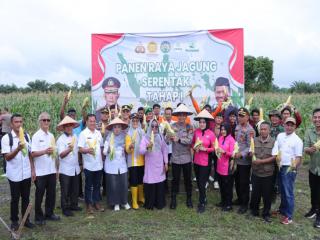 Kadis Pertanian Dampingi Wakapolres Kampar Pada Panen Raya Jagung Serentak di Tapung