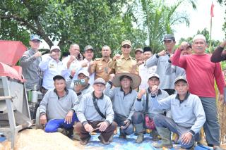 Wakil Bupati Rohil Jhony Charles Hadiri Panen Raya Jagung Kelompok Tani Pasir Putih Bersatu Balai Ja