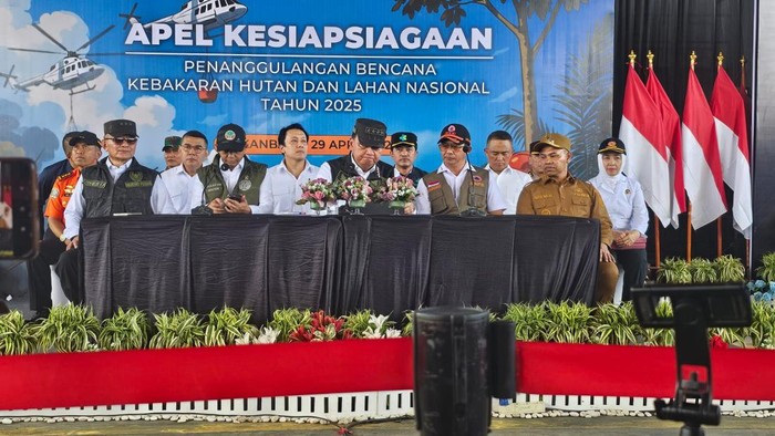 BNPB Sebut 6 Provinsi Jadi Prioritas Penanganan Karhutla, Riau Darurat