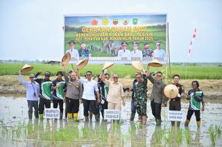 Tinjau Pabrik Kilang Padi, Wabup Rohil Dorong Revitalisasi dan Penguatan Sektor PertanianÂ 