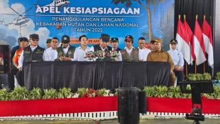 BNPB Sebut 6 Provinsi Jadi Prioritas Penanganan Karhutla, Riau Darurat