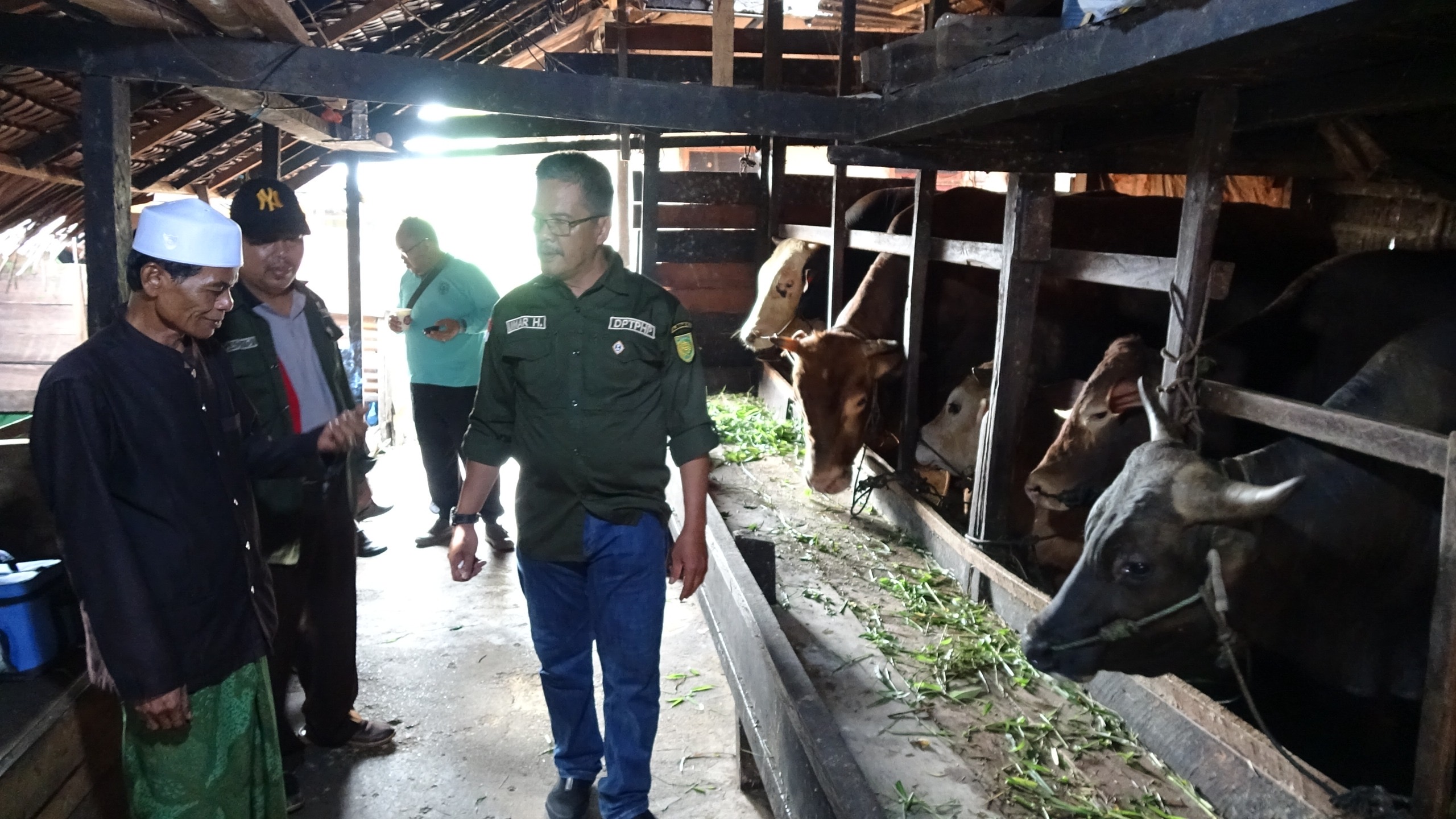 DPTPHP Inhil Lakukan Pemeriksaan Hewan Kurban Menjelang Idul Adha 1446 H