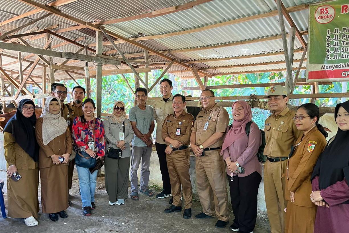 Distankan Pantau Kesehatan Sapi Kurban Presiden RI di Kota Pekanbaru