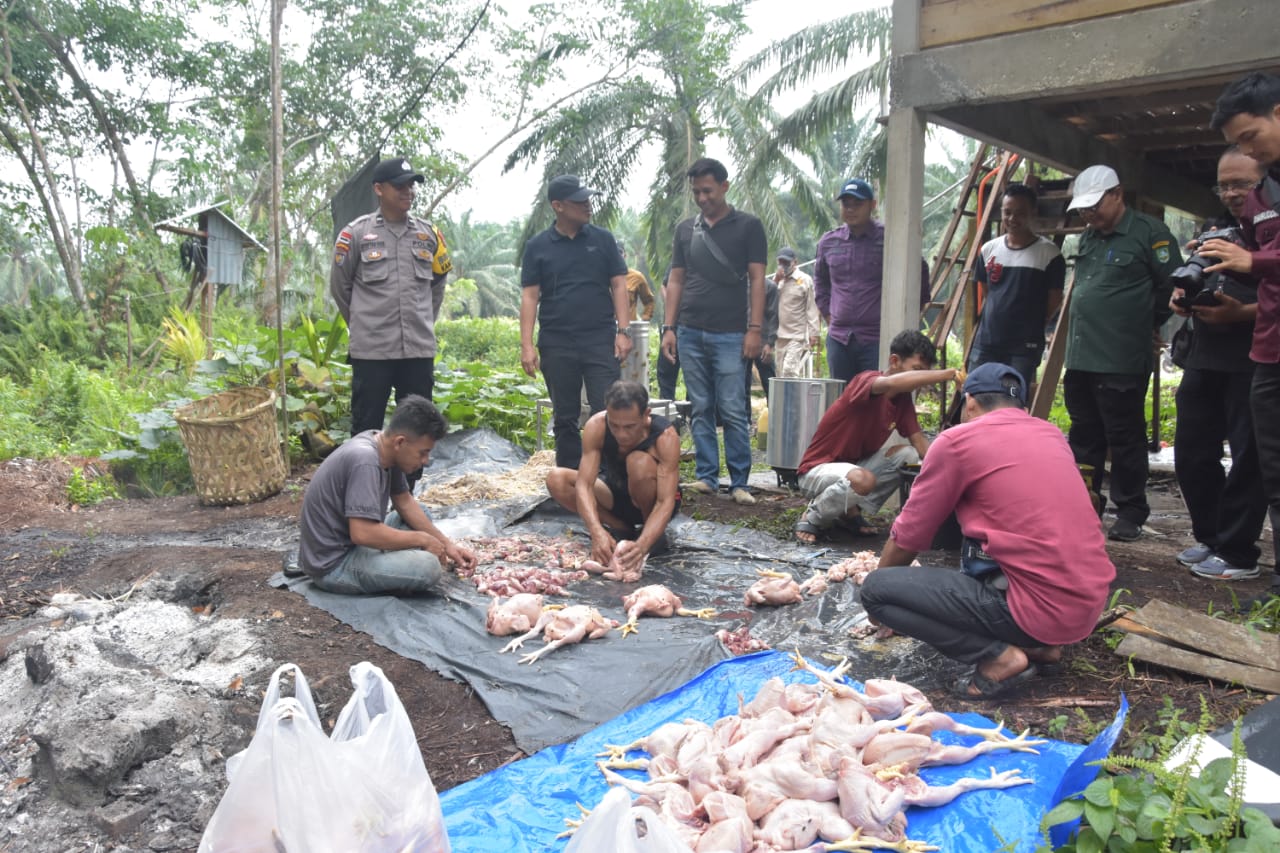 Wabup Bagus Santoso Tinjau Usaha Peternak Ayam Potong Desa Pangkalan Batang Barat