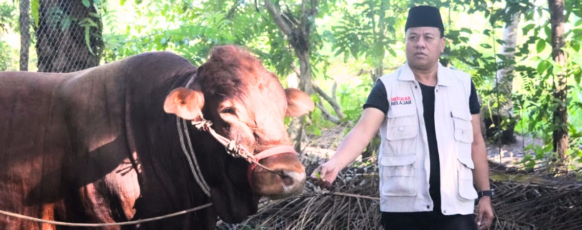 Bupati Kuansing Gelar Pemotongan Hewan Qurban Bantuan Presiden RI di Pondok Pesantren Imam Saleh