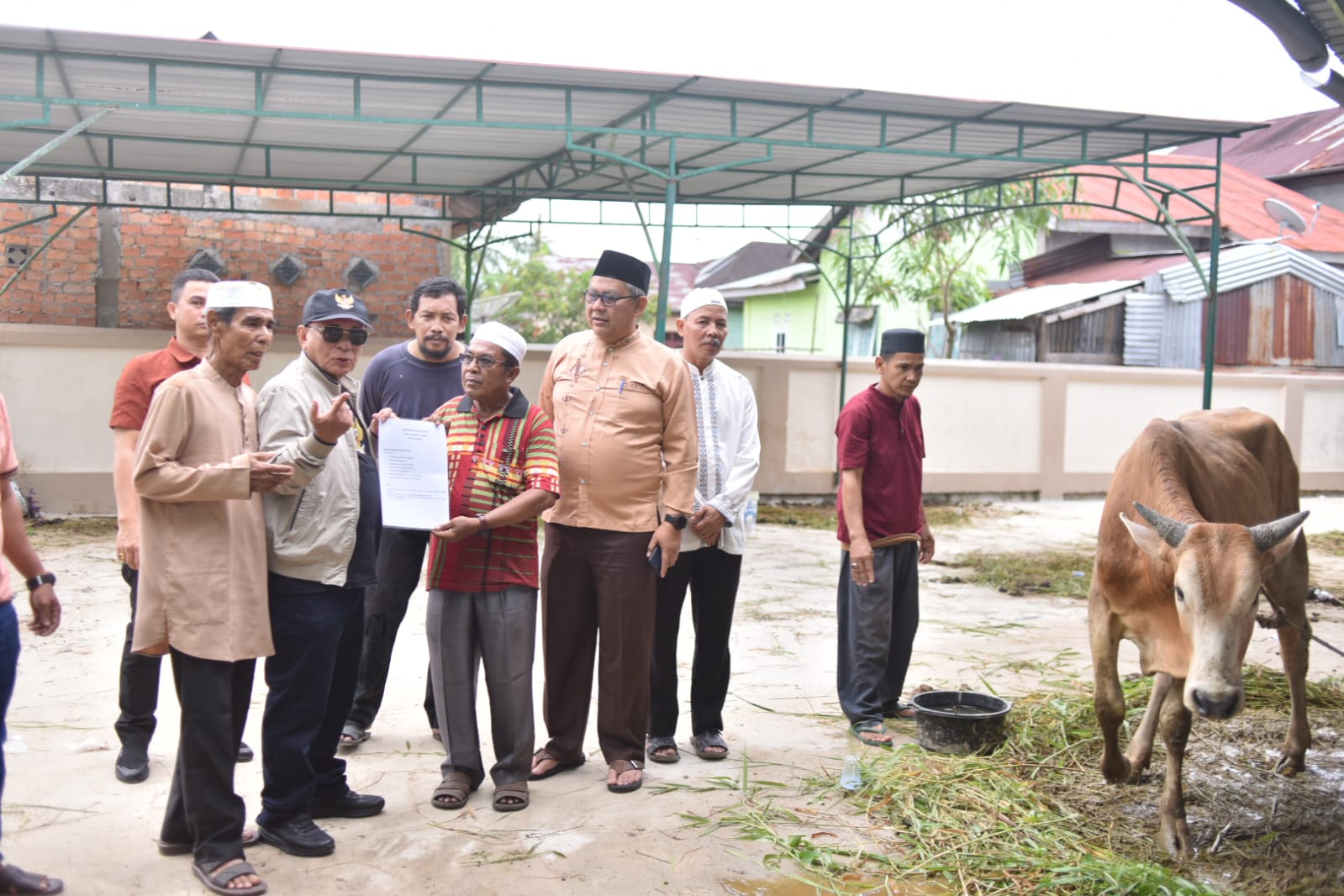 Bupati Rohil Serahkan Sapi Qurban di Kepenghuluan Sinaboi, Warga Sambut Antusias