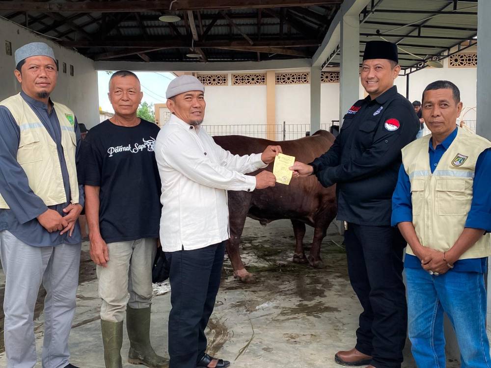 Sapi Kurban Seberat 750 Kg Bantuan Presiden Prabowo Diserahkan Wawako Sugiyarto untuk Masyarakat Dum