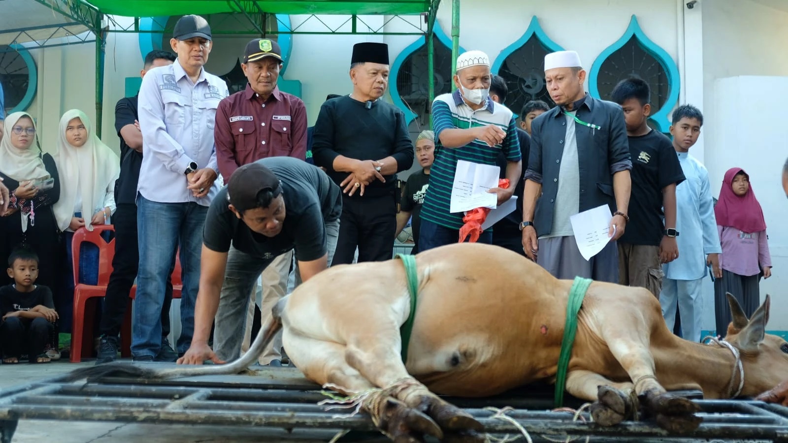 Bupati Kepulauan Meranti Serahkan Hewan Kurban dari Presiden Prabowo