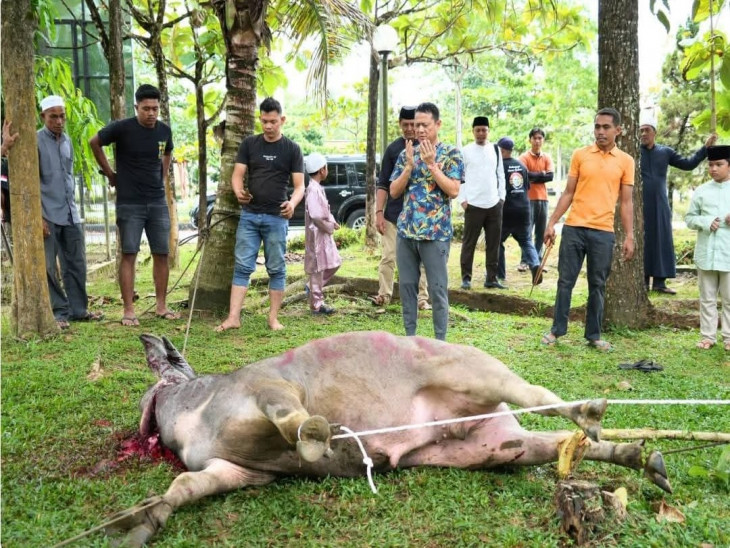 Sekda Distribusikan Daging Kurban ke THL dan Pegawai Kebersihan di Lingkungan Setda Kampar