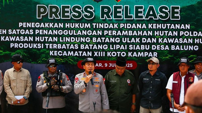 Polda Riau Bongkar Kasus Perambahan Hutan Lindung, 4 Tersangka Dijerat