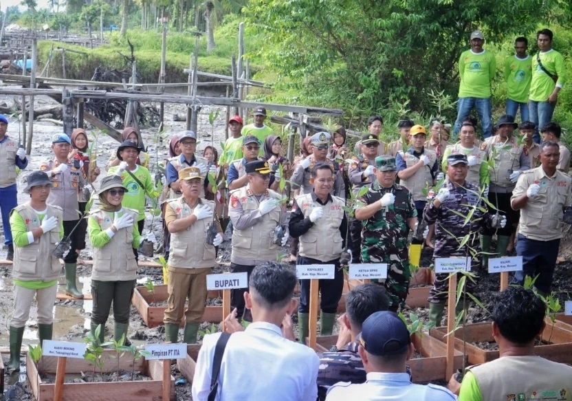 Bupati Asmar tanam Mangrove di Desa Mekong untuk Cegah Abrasi